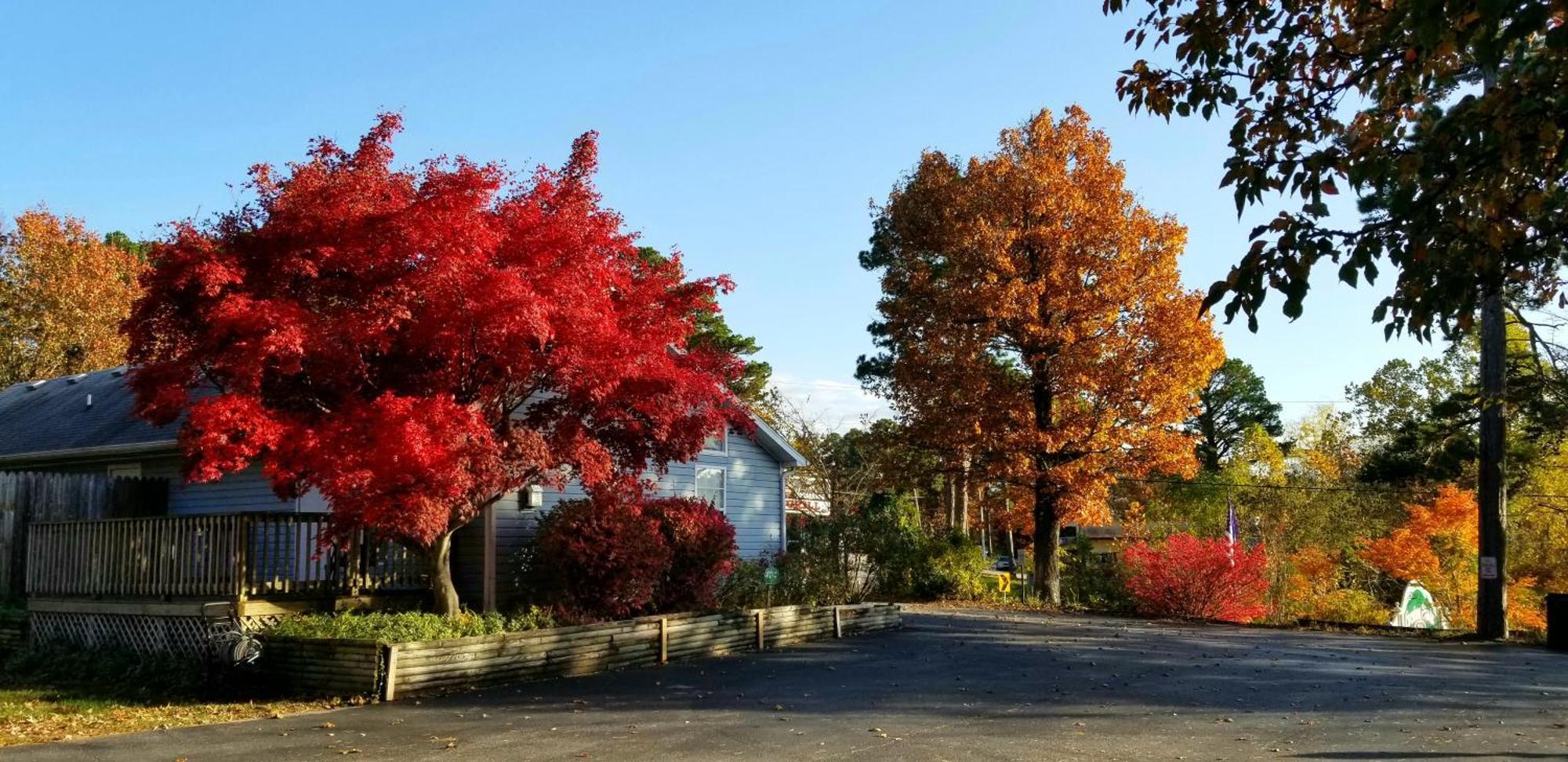 Evening Shade Inn Eureka Springs Εξωτερικό φωτογραφία